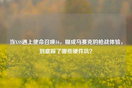 当XSS遇上使命召唤16,糊成马赛克的枪战体验,到底踩了哪些硬件坑?