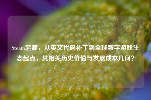 Steam起源,从英文代码补丁到全球数字游戏生态起点,其相关历史价值与发展成本几何?