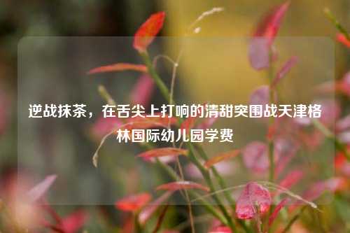逆战抹茶,在舌尖上打响的清甜突围战天津格林国际幼儿园学费