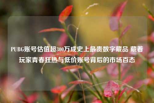 PUBG账号估值超300万成史上最贵数字藏品 藏着玩家青春狂热与低价账号背后的市场百态