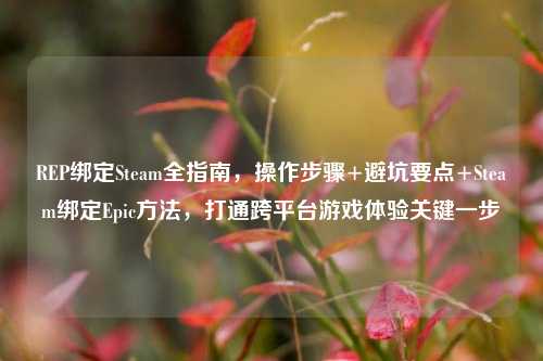 REP绑定Steam全指南,操作步骤+避坑要点+Steam绑定Epic方法,打通跨平台游戏体验关键一步