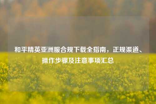 和平精英亚洲服合规下载全指南,正规渠道、操作步骤及注意事项汇总