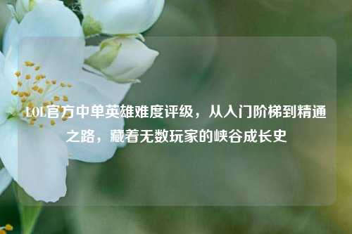 LOL官方中单英雄难度评级,从入门阶梯到精通之路,藏着无数玩家的峡谷成长史