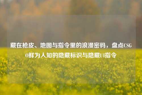 藏在枪皮、地图与指令里的浪漫密码，盘点CSGO鲜为人知的隐藏标识与隐藏UI指令