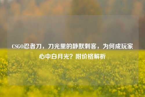 CSGO忍者刀,刀光里的静默刺客,为何成玩家心中白月光?附价格解析