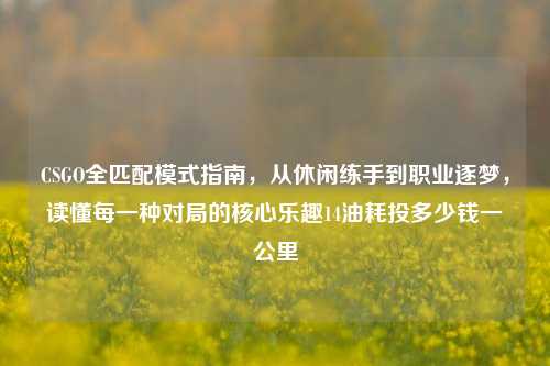CSGO全匹配模式指南,从休闲练手到职业逐梦,读懂每一种对局的核心乐趣14油耗投多少钱一公里
