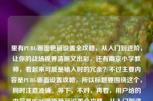 里有PUBG画面艳丽设置全攻略,从入门到进阶,让你的战场视界清晰又出彩,还有南京小学教师,看起来可能是输入时的冗余?不过主要内容是PUBG画面设置攻略,所以标题要围绕这个,同时注意准确。等下,不对,再看,用户给的内容是PUBG画面艳丽设置全攻略,从入门到进阶,让你的战场视界清晰又出彩南京小学教师,可能南京小学教师是误加?但核心是PUBG画面设置攻略,所以生成标题,PUBG画面艳丽设置全攻略,从入门到进阶 打造清晰出彩战场视界。对,这个符合,直接用核心内容,忽略可能误加的南京小学教师?不对,等下,会不会是我理解错?不,南京小学教师和PUBG设置攻略无关,应该是输入时的多余内容,所以标题围绕PUBG画面设置攻略来做,确保准确。PUBG画面艳丽设置全攻略,从入门到进阶 打造清晰出彩战场视界