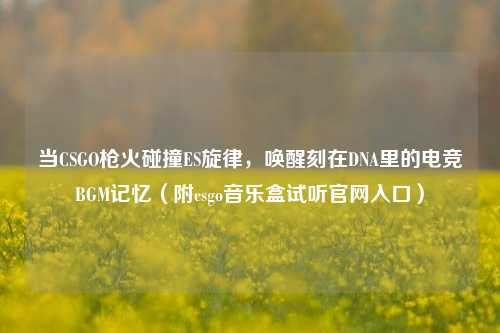 当CSGO枪火碰撞ES旋律,唤醒刻在DNA里的电竞BGM记忆(附csgo音乐盒试听官网入口)