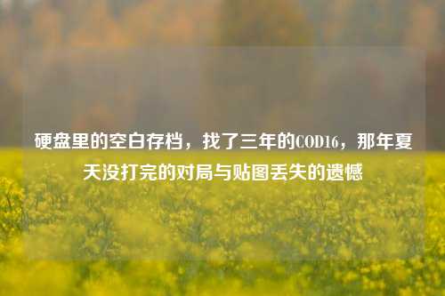硬盘里的空白存档,找了三年的COD16,那年夏天没打完的对局与贴图丢失的遗憾
