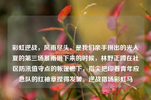 彩虹逆战，风雨尽头，是我们亲手拼出的光入夏的第三场暴雨砸下来的时候，林野正蹲在社区防汛值守点的帐篷檐下，指尖把印着青年应急队的红袖章捏得发皱。逆战猎场彩虹马