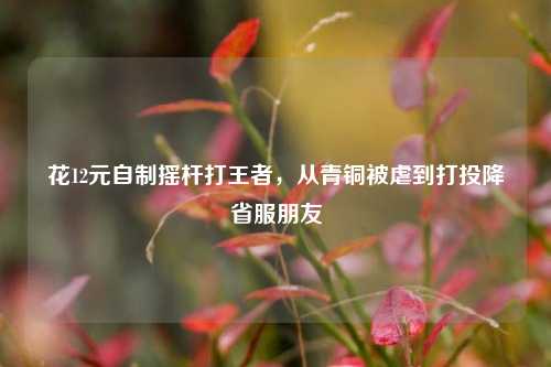 花12元自制摇杆打王者,从青铜被虐到打投降省服朋友