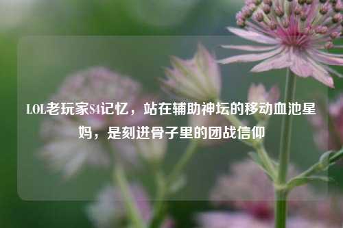 LOL老玩家S4记忆,站在辅助神坛的移动血池星妈,是刻进骨子里的团战信仰