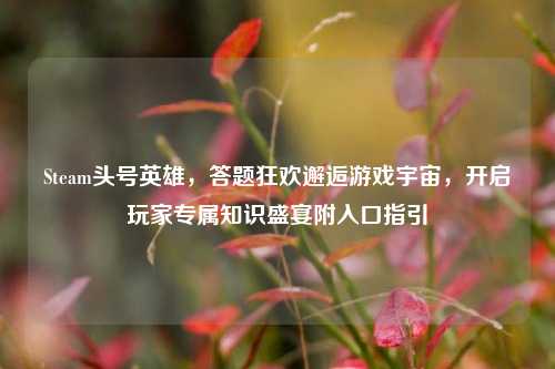 Steam头号英雄,答题狂欢邂逅游戏宇宙,开启玩家专属知识盛宴附入口指引