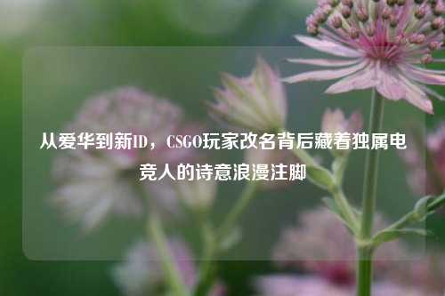 从爱华到新ID,CSGO玩家改名背后藏着独属电竞人的诗意浪漫注脚
