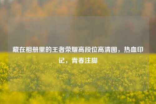 藏在相册里的王者荣耀高段位高清图,热血印记,青春注脚