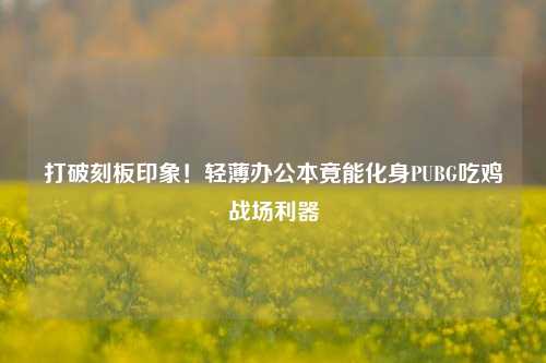 打破刻板印象!轻薄办公本竟能化身PUBG吃鸡战场利器