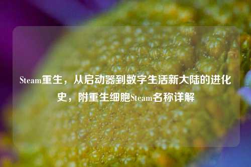 Steam重生,从启动器到数字生活新大陆的进化史,附重生细胞Steam名称详解