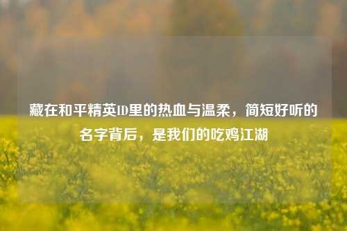 藏在和平精英ID里的热血与温柔，简短好听的名字背后，是我们的吃鸡江湖
