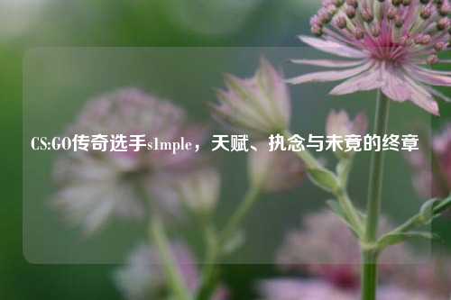 CS:GO传奇选手s1mple,天赋、执念与未竟的终章