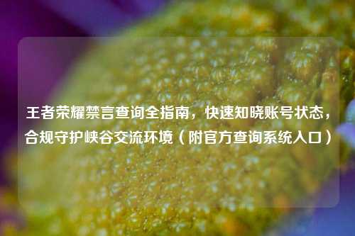 王者荣耀禁言查询全指南,快速知晓账号状态,合规守护峡谷交流环境(附官方查询系统入口)