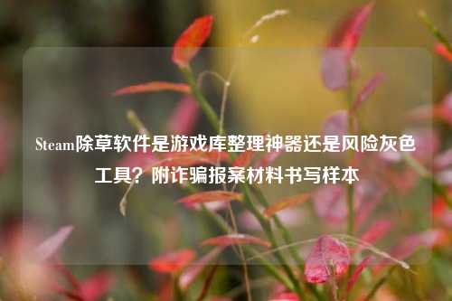 Steam除草软件是游戏库整理神器还是风险灰色工具?附诈骗报案材料书写样本