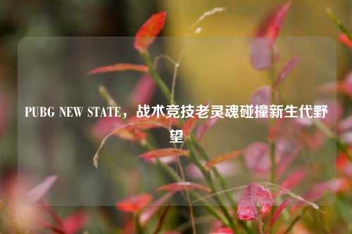 PUBG NEW STATE,战术竞技老灵魂碰撞新生代野望
