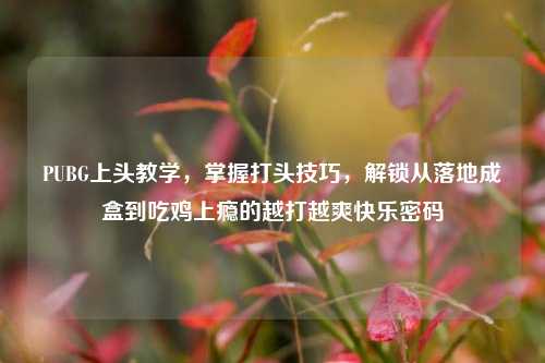 PUBG上头教学,掌握打头技巧,解锁从落地成盒到吃鸡上瘾的越打越爽快乐密码