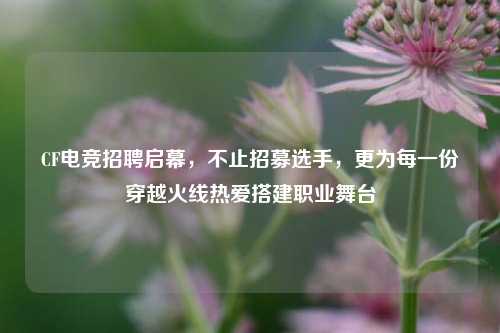 CF电竞招聘启幕,不止招募选手,更为每一份穿越火线热爱搭建职业舞台