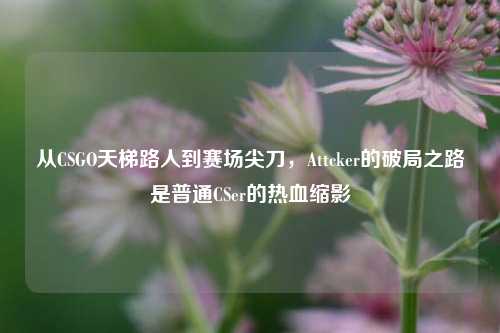 从CSGO天梯路人到赛场尖刀,Attcker的破局之路是普通CSer的热血缩影