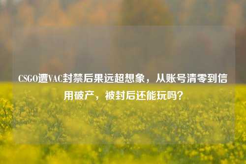 CSGO遭VAC封禁后果远超想象,从账号清零到信用破产,被封后还能玩吗?