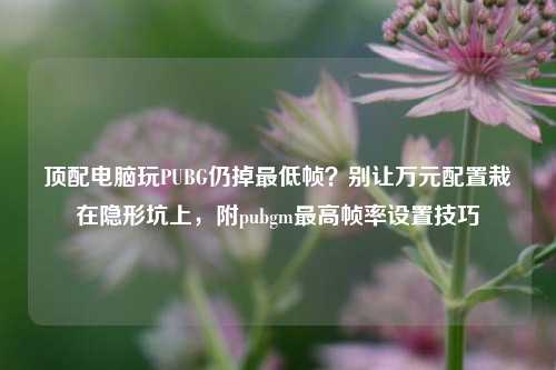 顶配电脑玩PUBG仍掉最低帧?别让万元配置栽在隐形坑上,附pubgm最高帧率设置技巧