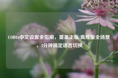 COD16中文设置全指南,覆盖正版/离线版全场景,3分钟搞定语言切换