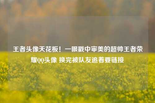 王者头像天花板!一眼戳中审美的超帅王者荣耀QQ头像 换完被队友追着要链接