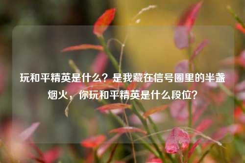 玩和平精英是什么?是我藏在信号圈里的半盏烟火,你玩和平精英是什么段位?