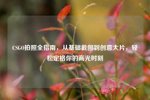 CSGO拍照全指南,从基础截图到创意大片,轻松定格你的高光时刻