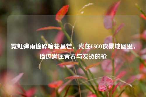 霓虹弹雨撞碎暗巷星芒,我在CSGO夜景地图里,捡过满匣青春与发烫的枪