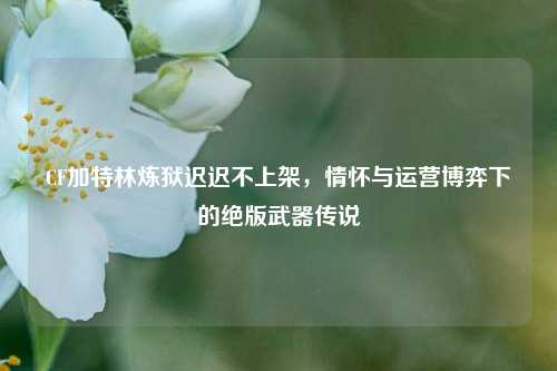 CF加特林炼狱迟迟不上架,情怀与运营博弈下的绝版武器传说