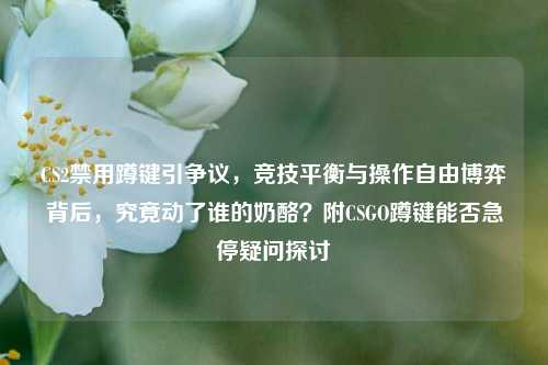 CS2禁用蹲键引争议,竞技平衡与操作自由博弈背后,究竟动了谁的奶酪?附CSGO蹲键能否急停疑问探讨