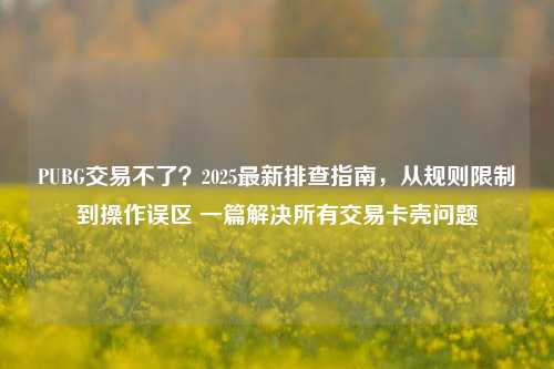 PUBG交易不了?2025最新排查指南,从规则限制到操作误区 一篇解决所有交易卡壳问题
