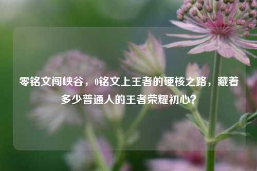 零铭文闯峡谷,0铭文上王者的硬核之路,藏着多少普通人的王者荣耀初心?