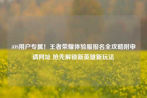 iOS用户专属!王者荣耀体验服报名全攻略附申请网址 抢先解锁新英雄新玩法