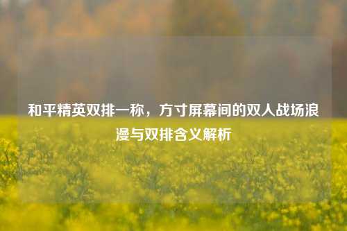 和平精英双排一称,方寸屏幕间的双人战场浪漫与双排含义解析