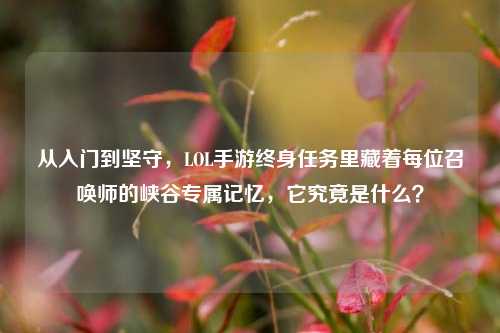 从入门到坚守,LOL手游终身任务里藏着每位召唤师的峡谷专属记忆,它究竟是什么?
