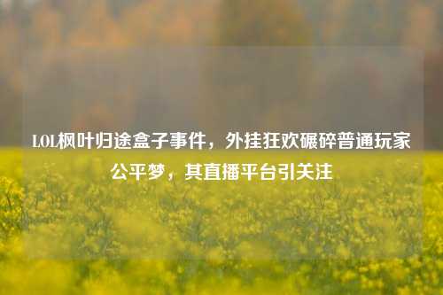 LOL枫叶归途盒子事件,外挂狂欢碾碎普通玩家公平梦,其直播平台引关注