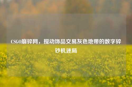 CSGO磨碎网,搅动饰品交易灰色地带的数字碎钞机迷局