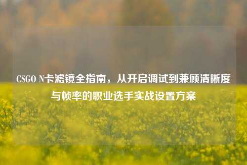 CSGO N卡滤镜全指南,从开启调试到兼顾清晰度与帧率的职业选手实战设置方案