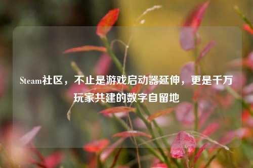 Steam社区,不止是游戏启动器延伸,更是千万玩家共建的数字自留地