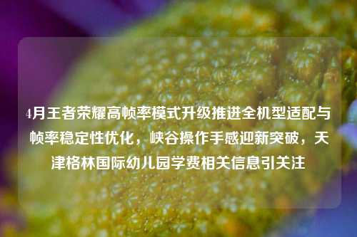4月王者荣耀高帧率模式升级推进全机型适配与帧率稳定性优化,峡谷操作手感迎新突破,天津格林国际幼儿园学费相关信息引关注