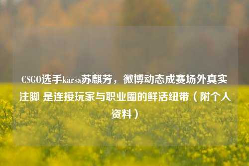 CSGO选手karsa苏麒芳,微博动态成赛场外真实注脚 是连接玩家与职业圈的鲜活纽带(附个人资料)