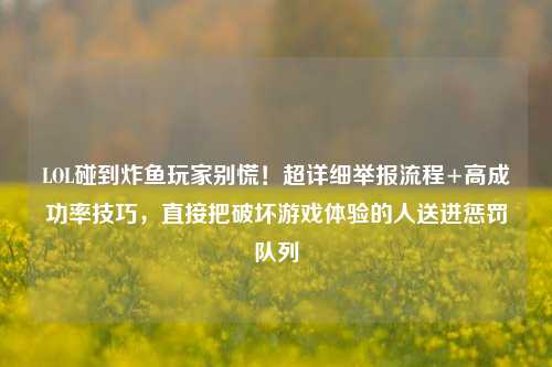 LOL碰到炸鱼玩家别慌!超详细举报流程+高成功率技巧,直接把破坏游戏体验的人送进惩罚队列